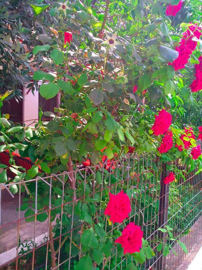 Our Parent'S House. Family House For Rent Villa Skala Kallirakhis Exterior photo